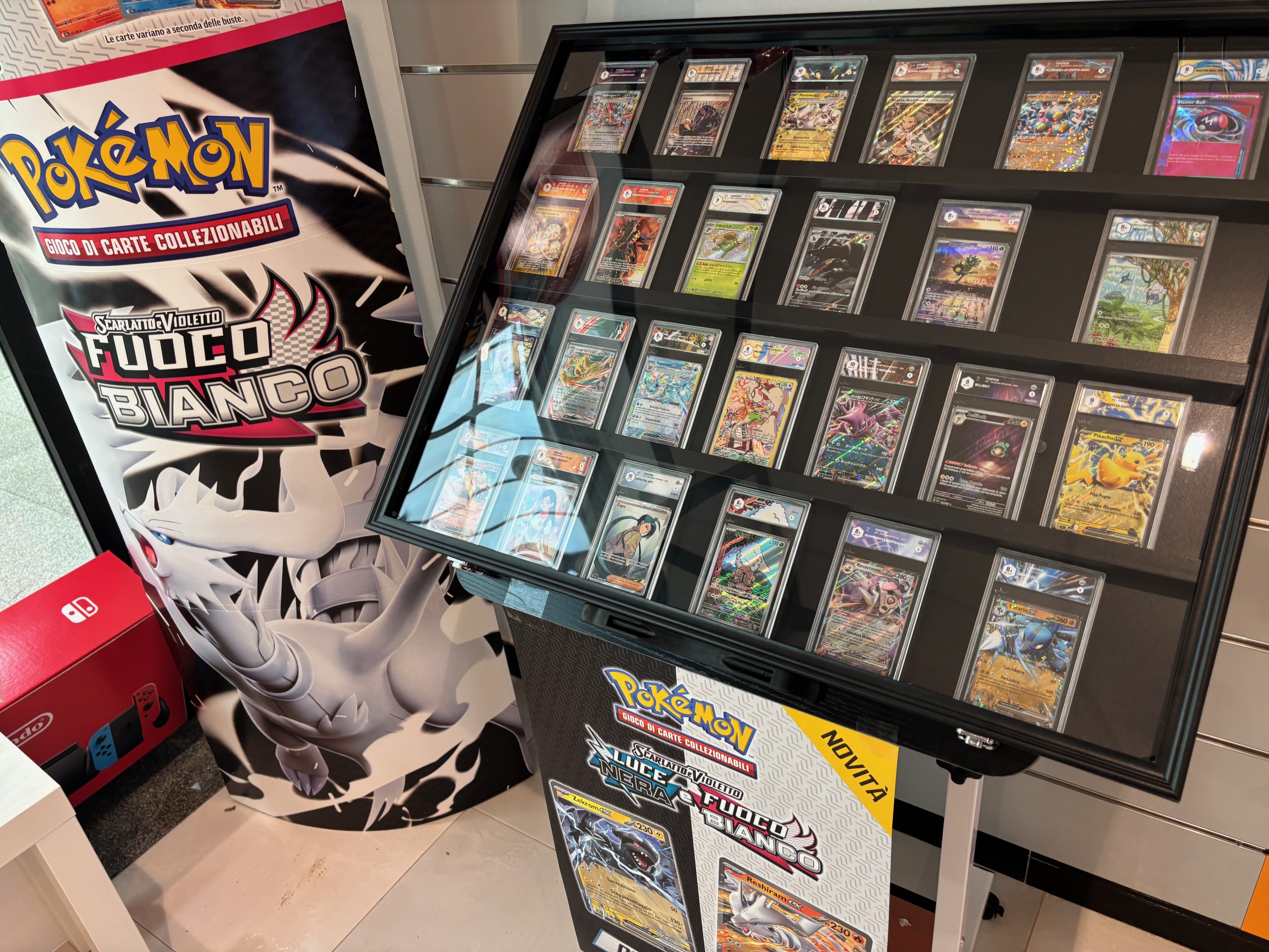 Fornitura arredo e parete carte Pokemon negli store Evergame